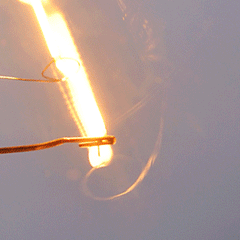 Collection image for: Leuchtmittel