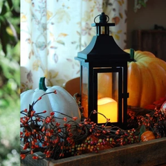 Collection image for: Laterne