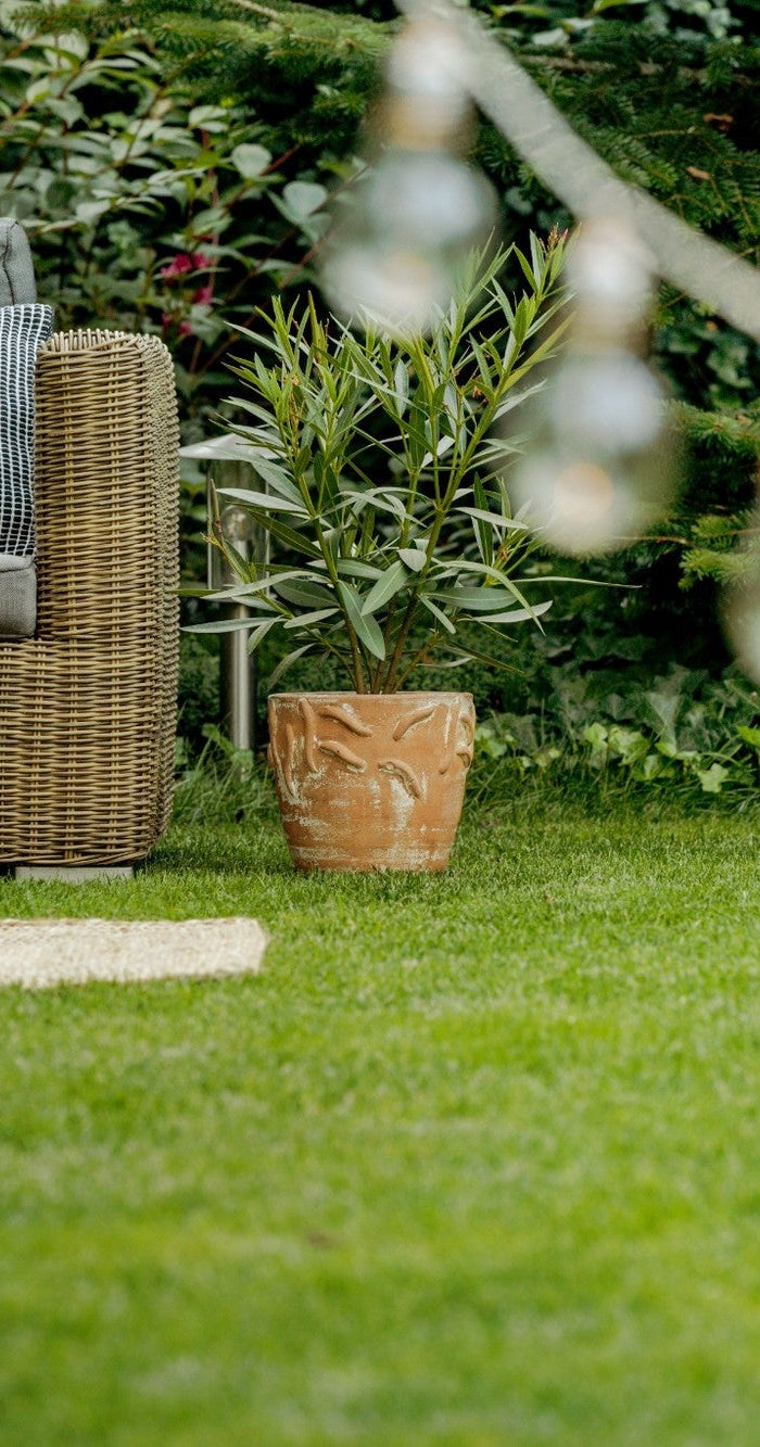 Gemütliche Garten-Terrasse mit warmer LED-Lichterkette und stimmungsvoller Outdoor-Beleuchtung im Grünen.
