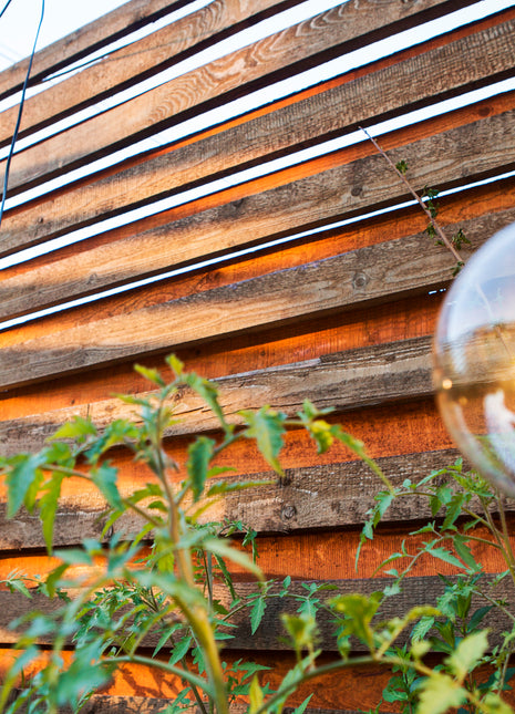 Lichterkette 15M Mit Pendellänge 1M und 15 LED-Lampen E27, 6W, Verbindbar 100M, für Außen