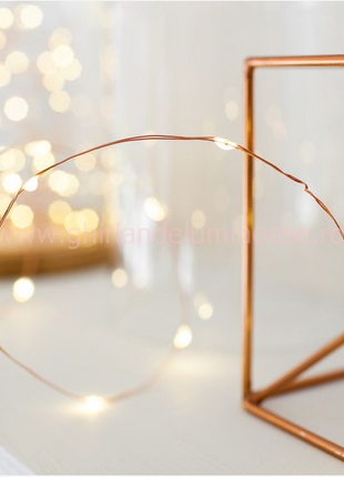 Kupferdraht Lichterkette 5M mit 50 Mini-LEDs, mit 10 abnehmbaren Haken, Warm Licht, Batteriebetrieb