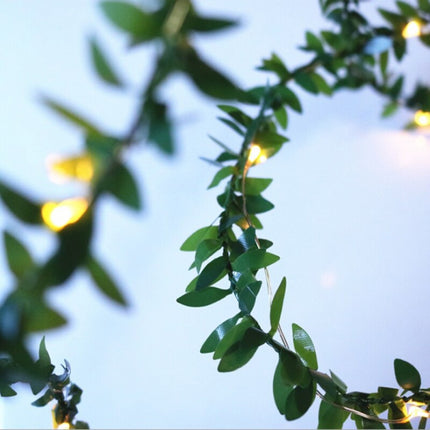 2M Buchsgirlande mit filigranen Blättern mit 20 Mini-LEDs, Warm Licht, Batteriebetrieben