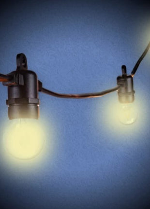 LED-Leuchtmittel G40, E14S, 2W, Glas, Dimmbar, Warm Licht, für Außen