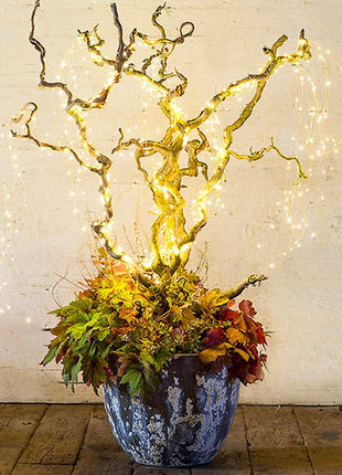 Silberdraht Lichterbündel 2M mit 200 Mini-LEDs, Warm Licht mit Transformator, für Außen