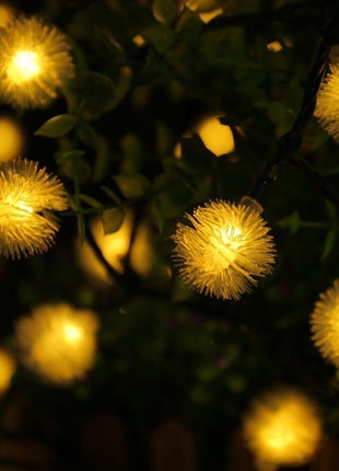 Solar Lichterkette 3M mit 20 Löwenzahn-LEDs, Dunkelgrün Kabel, Warm Licht, für Außen