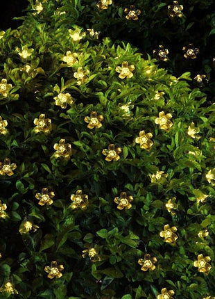 Solar Lichterkette 7,5M mit 50 Lotusblumen-LEDs, Dunkelgrün Kabel, Warm Licht, für Außen