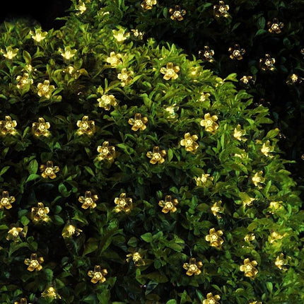 Solar Lichterkette 7,5M mit 50 Lotusblumen-LEDs, Dunkelgrün Kabel, Warm Licht, für Außen