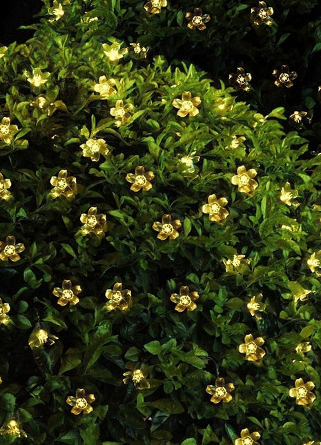 Solar Lichterkette 7,5M mit 50 Lotusblumen-LEDs, Dunkelgrün Kabel, Warm Licht, für Außen