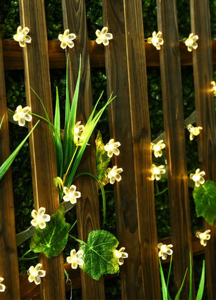 Solar Lichterkette 3M mit 20 Lotusblumen-LEDs, Dunkelgrün Kabel, Warm Licht, für Außen