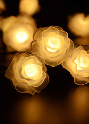Solar Lichterkette 2M mit 20 Rosen-LEDs, Schwarzes Kabel, Warm Licht, für Außen