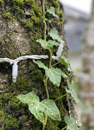 Weiße Lichterkette 10M mit 100 Premium-LEDs, Warm Licht, Verbindbar 960M, Für Außen