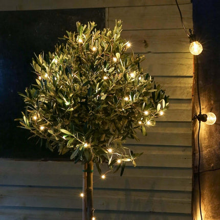 Silberdraht Lichterkette 100M mit 1000 LEDs, 8 Programmen mit Transformator und Fernbedienung, Warm Licht, für Außen