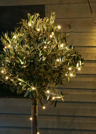 Kupferdraht Lichterkette 100M mit 1000 LEDs mit Transformator, Warm Licht, für Außen