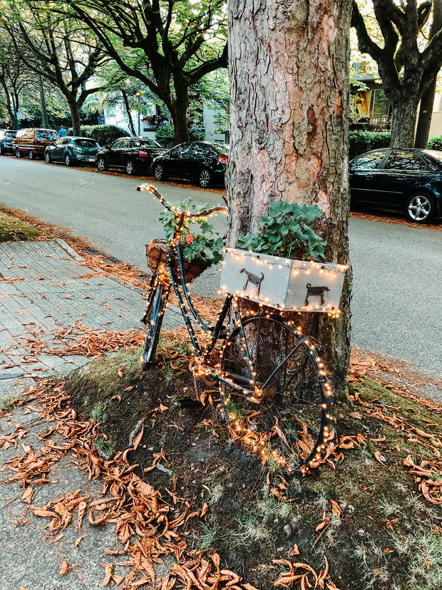 Fahrrad mit Lichterkette als Gartendeko am Baum