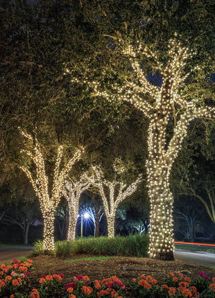 Lichterkette 4M mit 40 Kügelchen-LEDs, Durchsichtig Kabel, Warm Licht, Batteriebetrieb, für Außen