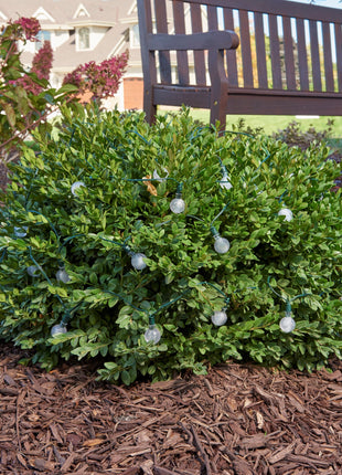Bunte Solar Lichterkette 3M mit 20 Kugeln-LEDs mit Dunkelgrün Kabel, Warm Licht, für Außen